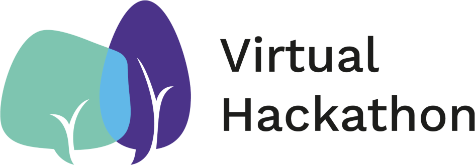 Virtual Hackathons